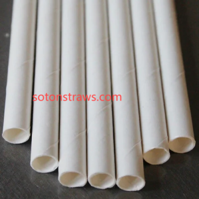 Cradle-to-Career: Rapid Upskill Pathways in Straws Factories  