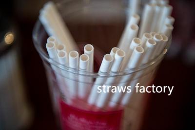 How Soton Straws Leads Eco-Friendly Innovation