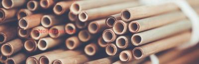 Beyond the Factory: Soton's Holistic Paper Straws Manufactory
