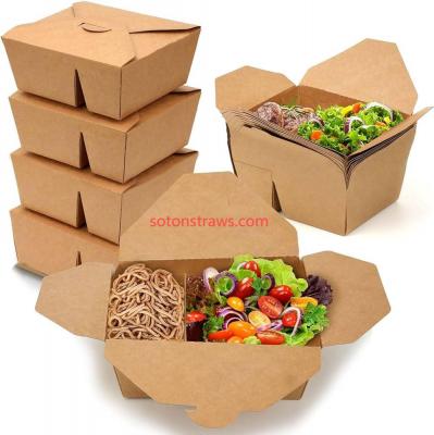 Building Durability: Soton Integrates Bagasse into Disposable 