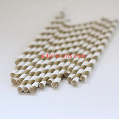 Lotus in Your Latte: How Paper Straws Manufactory Masters Natur