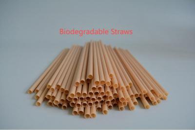 Smart Straw Choices for Sustainable Cafés