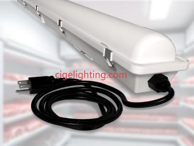 Cigelighting's Urban Water Artist: Aesthetic Waterproof Fixture