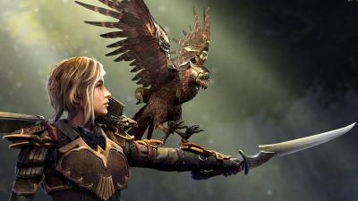 Will you Choose the Right Weapon for Your Runemaster?